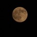 mini-IMG_1855