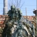 zentral_017