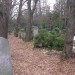 zentral02_10