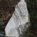 zentral_025