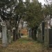zentral_086
