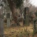 zentral_095