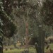 zentral_114