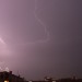mini-IMG_0646