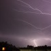 mini-IMG_0682