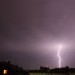 mini-IMG_0696