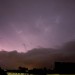 mini-IMG_2746