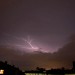 mini-IMG_2771