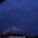 mini-_MG_2635