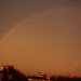 mini-IMG_1164