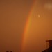 mini-IMG_1169