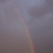 mini-_MG_5746