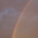 mini-_MG_5747