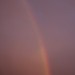 mini-_MG_5753