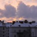 mini-IMG_3390