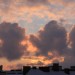 mini-IMG_3397