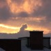 mini-IMG_3407
