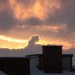 mini-IMG_3408