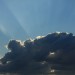 mini-IMG_0531