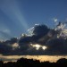 mini-IMG_0534