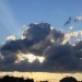 mini-IMG_0536