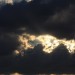 mini-IMG_0537