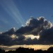 mini-IMG_0541
