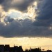 mini-IMG_0548