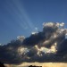 mini-IMG_0549