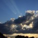 mini-IMG_0552