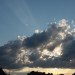 mini-IMG_0556