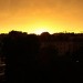 mini-IMG_1161