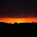 mini-IMG_1181