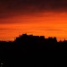 mini-IMG_1182