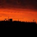 mini-IMG_1185