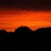 mini-IMG_1186