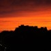 mini-IMG_1187