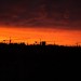 mini-IMG_1189
