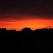 mini-IMG_1190