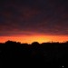 mini-IMG_1191