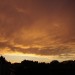mini-_MG_5755