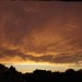 mini-_MG_5756