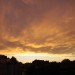 mini-_MG_5757